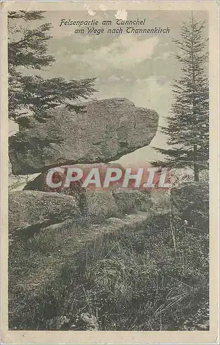 Cartes postales Felsenpartie am Tannchel