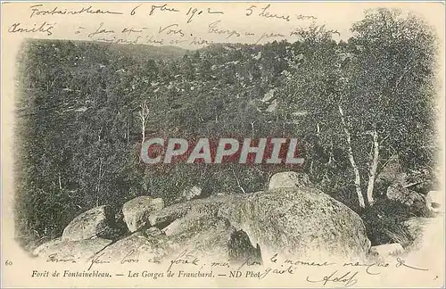 Cartes postales Foret de Fontainbleau les gorges de franchard