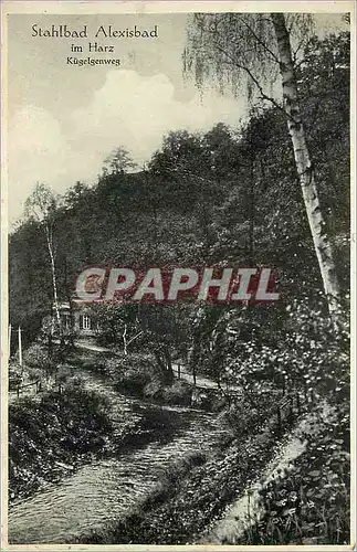 Cartes postales Stahlbad Alexisbd im harz
