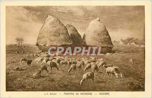 Cartes postales Millet moutons au paturage pasture