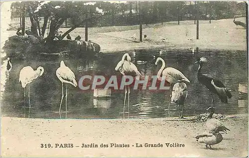 Cartes postales ParisJardin des plntes la Grande Vloieres