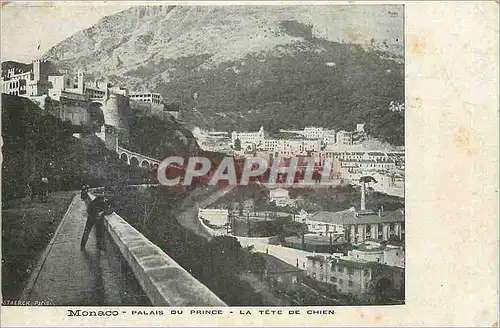 Cartes postales Monaco Palais du Prince - la tete de chien