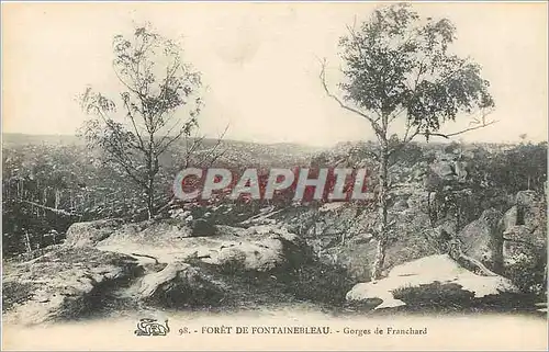 Cartes postales Foret de fontainebleau Gorges de Franchard
