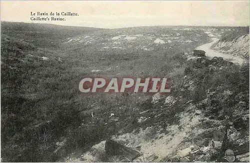 Cartes postales Le Ravin de la caillette