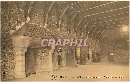 Cartes postales Gand Le chateau des comptes Salle dy Donjon