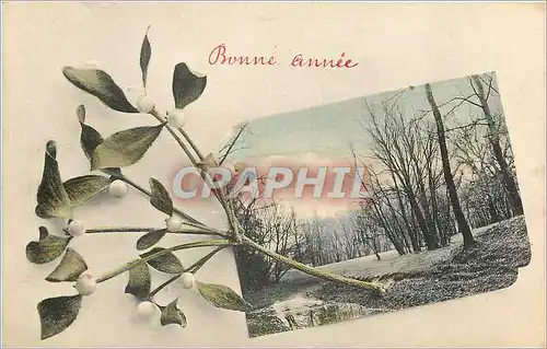 Cartes postales Voeux