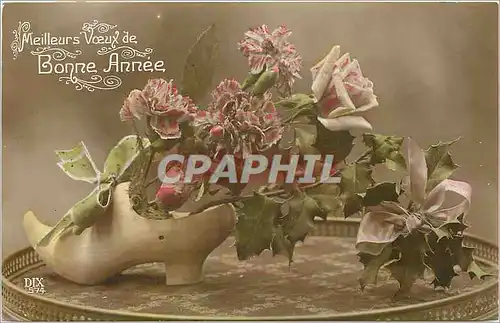 Cartes postales V�ux Fleurs Sabot