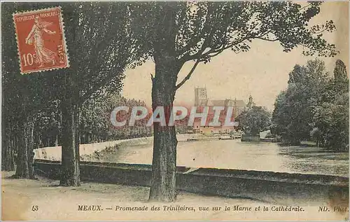 Cartes postales Meaux Promenade des Trinitaires vue sur la marne et la cathedrale