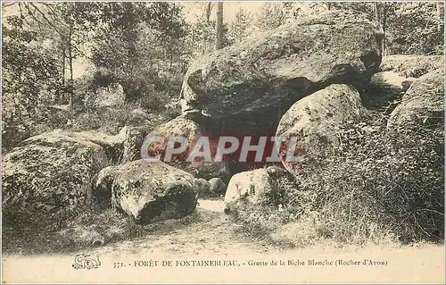 Cartes postales Foret de Fonainebleau Grotte de la Biche Blanche Rocher d'Avon