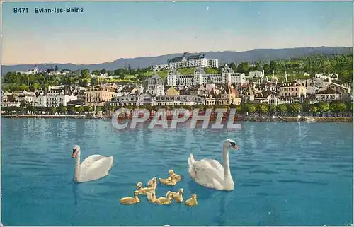 Cartes postales Evian les bains Cygnes