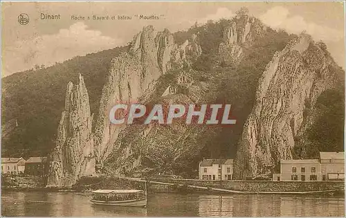 Cartes postales Dinant Roche a Bayard et bateau Mouettes