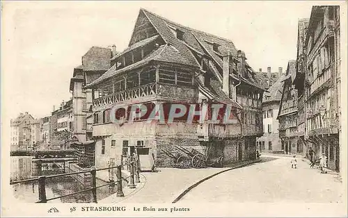 Cartes postales Strasbourg Le Bain aux plantes