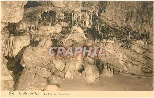 Cartes postales Grottes de Han La Salle des Scarabees