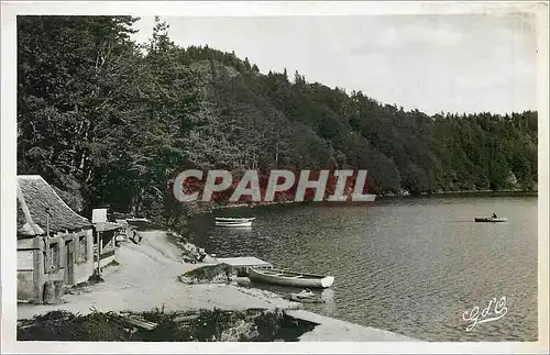 Cartes postales L'Auvergne Lac Pavin Entree du Chemin sous bois