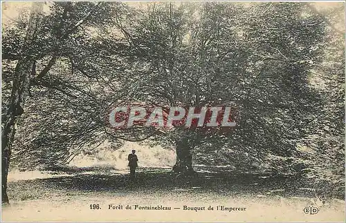 Cartes postales Foret de Fontainebleau Bouquet de l'Empereur