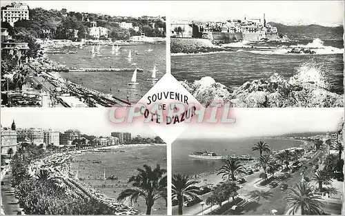 Cartes postales moderne Souvenir de la Cote d'Azur