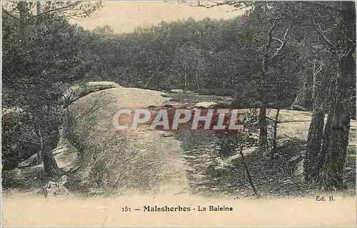Cartes postales Malesherbes La Baleine