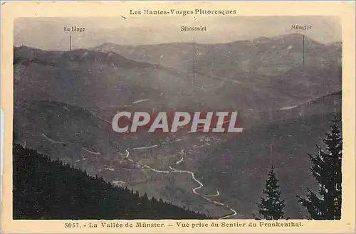 Cartes postales La Vallee de Munster Vue prise du Sentier du Frankenthal