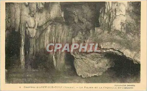Cartes postales Grottes d'Arcy sur Cure Yonne Le Pilier et la Coquille St Jacques