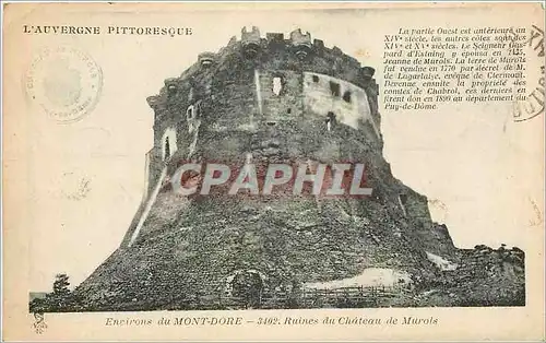 Cartes postales L'Auvergne Pittoresque Environs du Mont Dore Ruines du Chateau de Murols