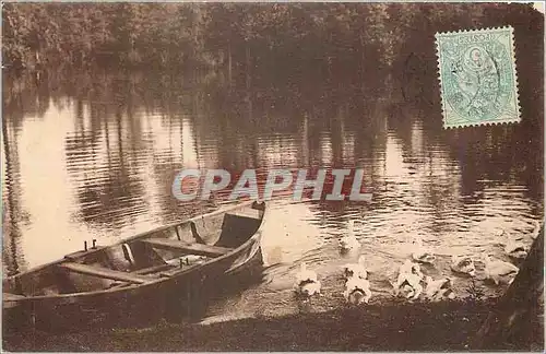 Cartes postales Barque Cygnes