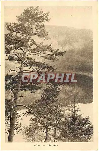 Cartes postales Lac Noir