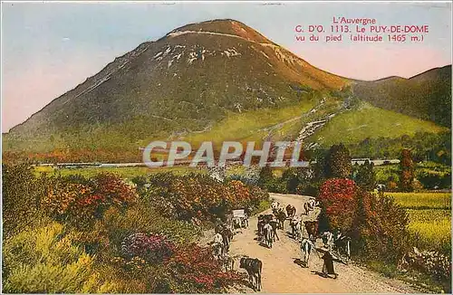 Ansichtskarte AK L'Auvergne Le Puy de Dome vu du pied Vaches