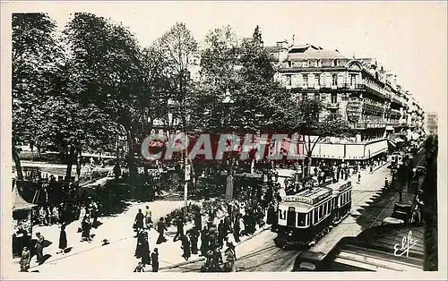 Cartes postales Toulouse La Rue d'Alsace Lorraine et Square du Capitole Tramway