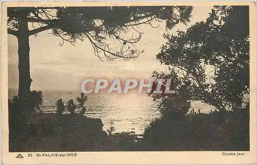 Cartes postales St Palais sur Mer Contre jour