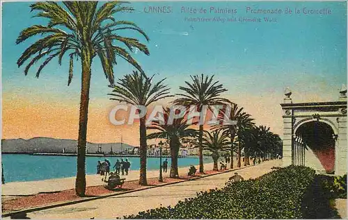 Ansichtskarte AK Cannes Allee de Palmiers Promenade de la Croisette