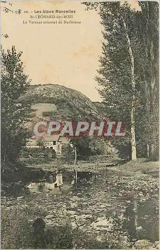 Cartes postales St Leonard des Bois Le Versant oriental de Narbonne