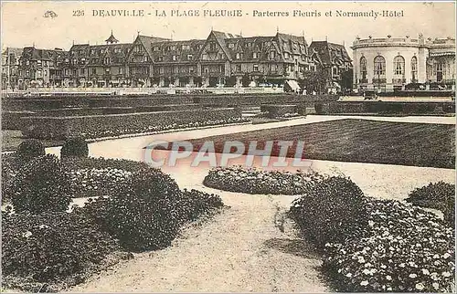 Ansichtskarte AK Deauville La Plage Fleurie Parterres Fleuris et Normandy Hotel