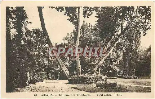 Cartes postales Meaux Le Parc des Trinitaires