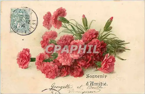 Ansichtskarte AK Souvenir d'Amitie Fleurs