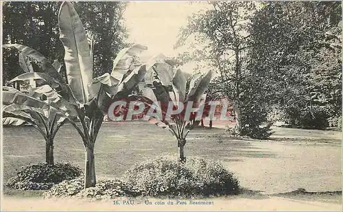 Cartes postales Pau Un coin du Parc Beaumont