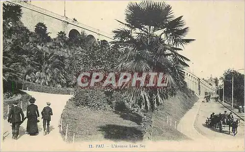 Cartes postales Pau  L'Avenue Leon Say