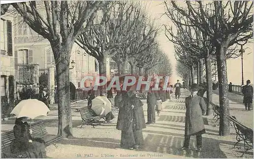 Cartes postales Pau  L'hiver Boulevard des Pyrenees