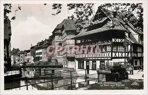 Cartes postales Strasbourg Le Bain aux Plantes