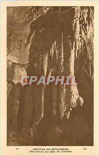 Ansichtskarte AK Grottes de Betharram Stalactite du Bec de Canard