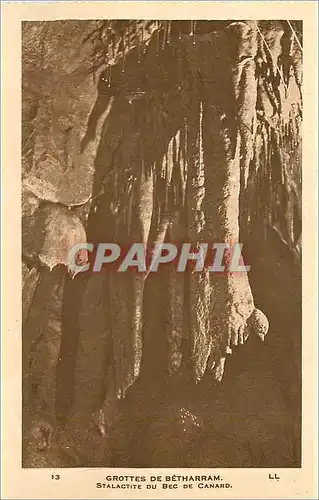 Cartes postales Grottes de Betharram Stalactite du Bec de Canard