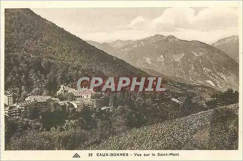 Cartes postales Eaux Bonnes Vue sur le Saint Mont