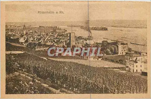 Cartes postales Rudesheim a Rh