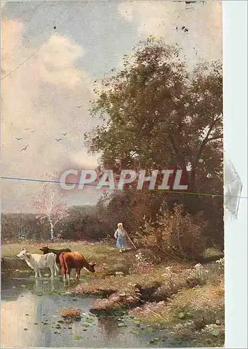 Cartes postales Vache