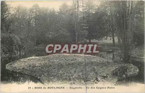 Cartes postales Bois de Boulogne Bagatelle Ile des Cygnes Noirs