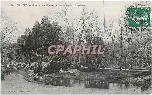 Ansichtskarte AK Nantes Jardin des Plantes Vue vers le Labyrinthe