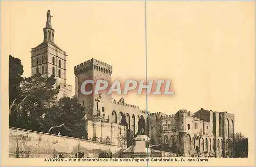 Cartes postales Avignon Vue d'Ensemble du Palais des Papes et Cathedrale ND des Doms