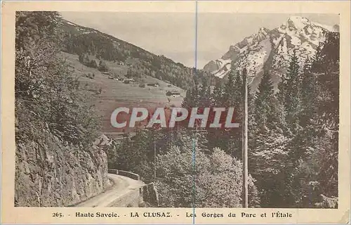 Ansichtskarte AK Haute Savoie La Clusaz Les Gorges du Parc et I'Etale