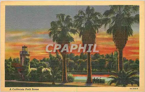 Cartes postales A California Park Scene