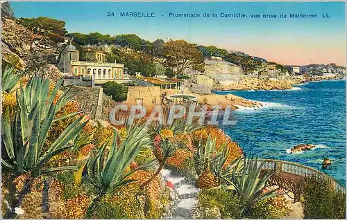 Ansichtskarte AK Marseille Promenade de la Corniche vue prise de Maldorme