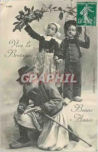 Cartes postales Vive la Bretagne Bonne Annee